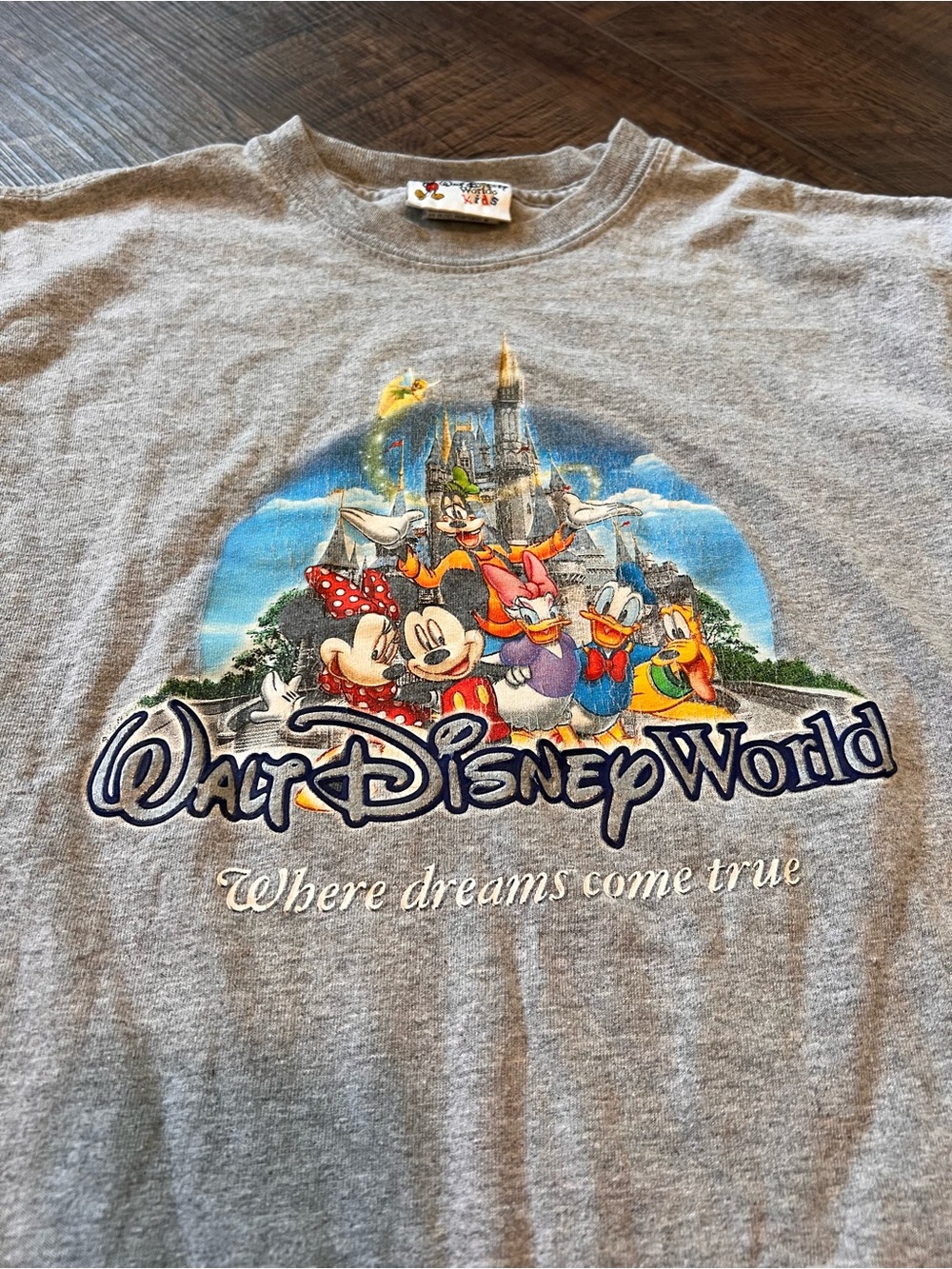 Disney Grey Tee with Colorful Mickey & Friends Castle Graphic